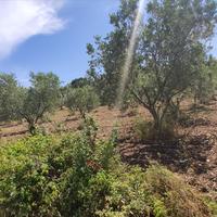 Земельный участок в Греции