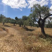 Земельный участок в Греции