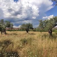 Земельный участок в Греции