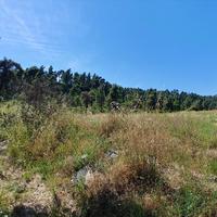 Land plot in Greece
