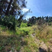 Land plot in Greece