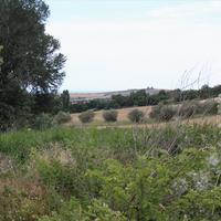 Land plot in Greece