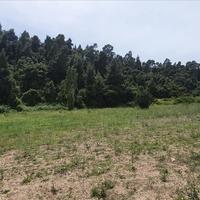 Земельный участок в Греции