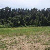 Земельный участок в Греции