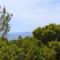 Земельный участок в Греции