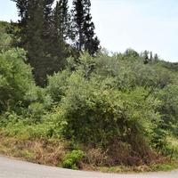 Земельный участок в Греции