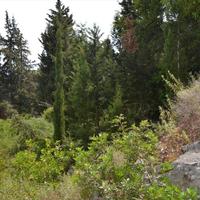 Земельный участок в Греции