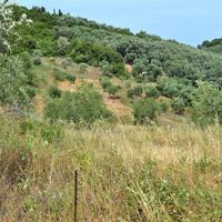 Land plot in Greece