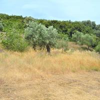 Land plot in Greece