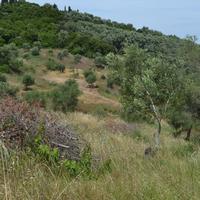 Land plot in Greece