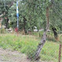 Земельный участок в Греции