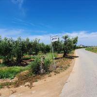 Land plot in Greece