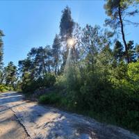 Земельный участок в Греции