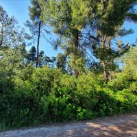 Земельный участок в Греции