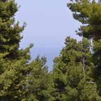 Other in Greece, 140 sq.m.