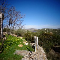 Другое в Греции, 80 кв.м.