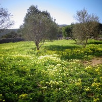 Другое в Греции, 80 кв.м.