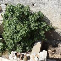 Other in Greece, 240 sq.m.