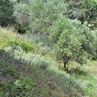 Земельный участок в Греции