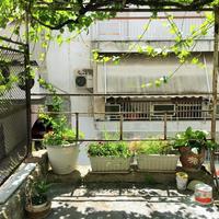 Квартира в Греции, 85 кв.м.