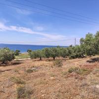 Земельный участок в Греции