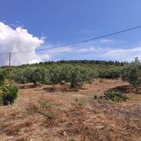 Земельный участок в Греции