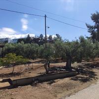 Земельный участок в Греции