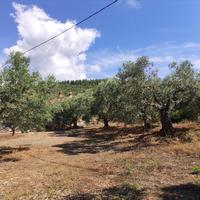 Земельный участок в Греции