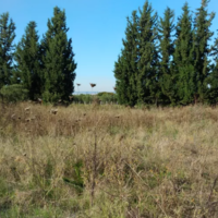 Земельный участок в Греции