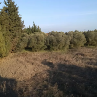 Земельный участок в Греции