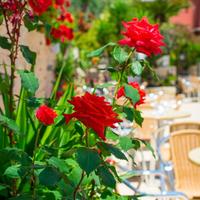 Hotel in Greece, 5000 sq.m.