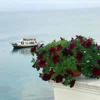 Hotel in Greece, 5000 sq.m.