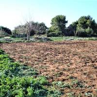 Land plot in Greece