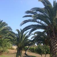 Hotel in Greece, 1025 sq.m.