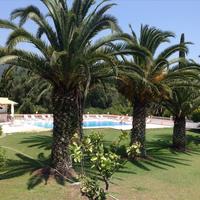 Hotel in Greece, 1025 sq.m.