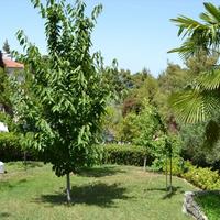 Другое в Греции, 118 кв.м.