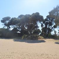 Квартира в Греции, 53 кв.м.