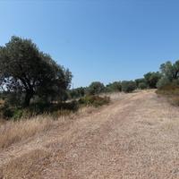 Земельный участок в Греции