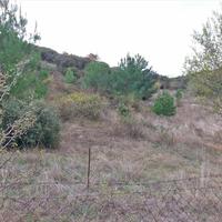 Land plot in Greece, 1236 sq.m.