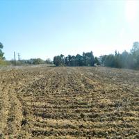 Земельный участок в Греции, 4500 кв.м.