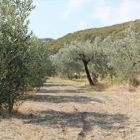 Земельный участок в Греции