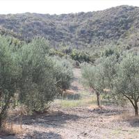 Земельный участок в Греции