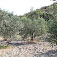 Земельный участок в Греции