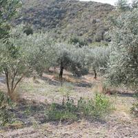 Земельный участок в Греции