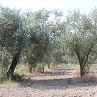 Земельный участок в Греции