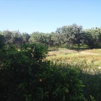 Земельный участок в Греции