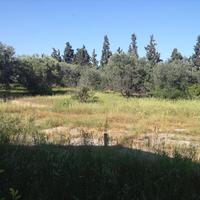 Земельный участок в Греции