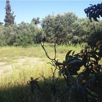 Земельный участок в Греции