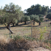 Земельный участок в Греции