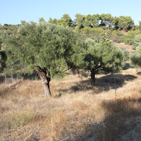 Земельный участок в Греции